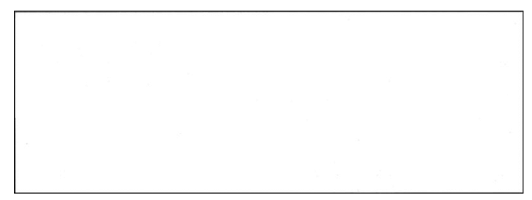 American LENETA Form CP-1 white cardboard display