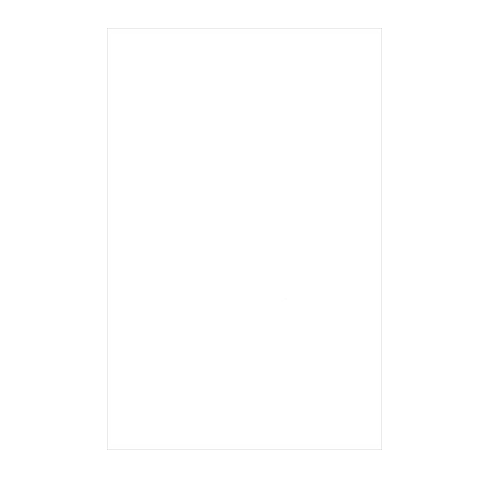 American LENETA pure white cardboard Form WH display