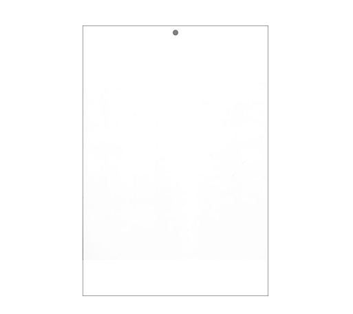 American LENETA pure white cardboard Form WBX display