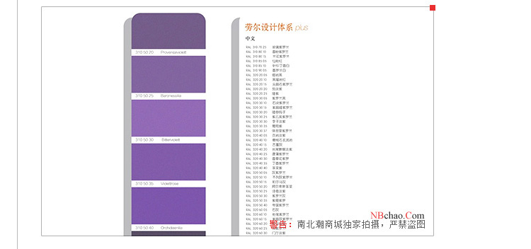 Detail of Raul D2 Color Chart