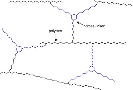 Some knowledge of paint with picture 7