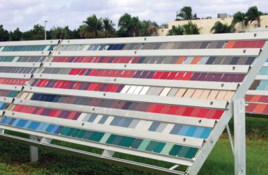 Some knowledge of paint with picture 11