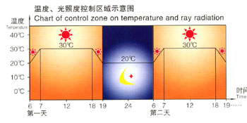 Schematic diagram of temperature and illuminance control area