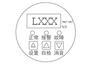 The use of Dorui Gas Detector and common troubleshooting methods with picture 1