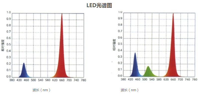Sanfa GHP-250 light Incubator details picture 2