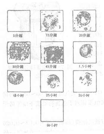 How does the imprint method test the actual drying speed? Picture 2