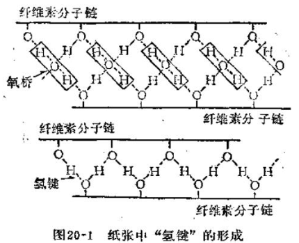 Paper Chemical Pulp Production Process: Introduction of Cooking with Figure 1