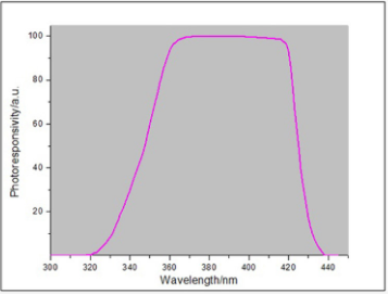 Linshang LS137 UV Energy Meter Details Figure 2