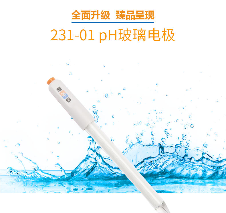 Thunder 231-01 pH glass electrode details Figure 2