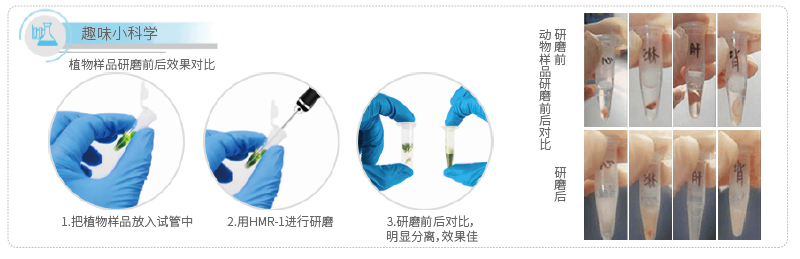 沪析 HMR-1+φ4mm研磨棒 手持式研磨仪详情图1
