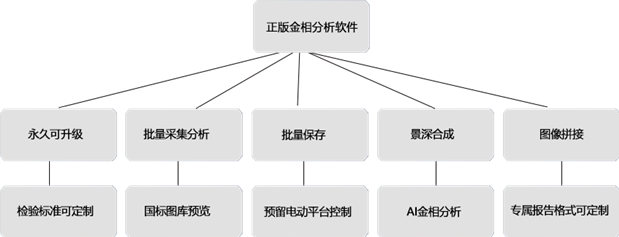 Details of the Copelo BH200M-W Computerized Metallurgical Microscope Figure 2