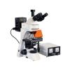 TEELEN TL3001 Upright Fluorescence Microscope