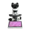 TEELEN TL5000 Integrated LCD Digital Microscope Figure 2
