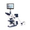 Varnishing BM-SG12BDP Tablet Microscope (Light and Dark Field)