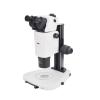 Varnishing XTL-BM-18T Parallel Light Body Microscope Total Magnification 135X