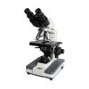 Varnishing XSP-BM-8C Microscope Magnification 40X-1600X
