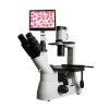 Varnishing BM-37XCP Tablet Inverted Biological Microscope