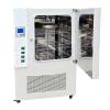 CHINA DHG-401A aging Test Chamber 1500W/200 ℃
