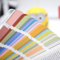 德国劳尔RAL D9扇形色卡实拍图1