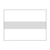 US LENETA Form 26-2M Wall Gloss Free Cardboard