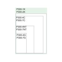 美国LENETA Form P300-4G 透明遮盖力卡纸
