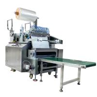 Rxg-01/300cs  Mouth Dissolving Film Spreader Slitting Machine