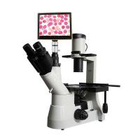 Varnishing BM-37XCP Tablet Inverted Biological Microscope