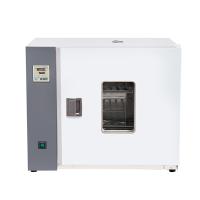 BENTING 101-3ABW horizontal blast drying oven stainless steel studio PID LCD, temperature control 205L