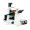 Teelen DXY-1 Inverted Fluorescence Microscope