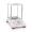 Ohaus PX224ZH/E Analytical Balance