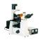 TEELEN DXY-1 Inverted Fluorescence Microscope