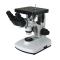 TEELEN 4XB Binocular Inverted Metallurgical Microscopy