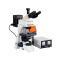 TEELEN TL3001 Upright Fluorescence Microscope