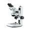 TEELEN XTL-207B Binocular Continuous Diploidy Microscope