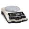 HUAZHI DTY-3202/4202 Precision Electronic Balance 3200g/4200g