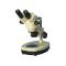 SHANGGUANG PXS-VI Stereo Microscope