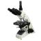 ShangGuang BM-19A Trinocular Microscope