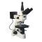 SHANGGUANG 53XB Trinocular Upright Metallurgical Microscopy