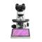 Teelen TL5000 Integrated LCD Digital Microscope Figure 2