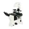 Varnishing BM-37XD Inverted Biological Microscope