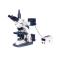 VARNISING BM-SG12 Research Biological Microscope (Brightfield)