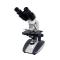 Varnishing XSP-BM-2CA Microscope Magnification 40X-1600X