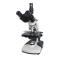 Varnishing XSP-BM-2CBA Microscope Optical inspection Magnification 40X-1600X