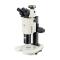 VARNISING XTL-BM-18TD Computer Parallel Light Body Microscope with 3D Stereoscopic Viewing