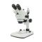 Varnishing XTZ-EA Continuous Diploidy Microscope Magnification 7X-45X