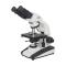 Varnishing XSP-BM-20 Microscope Magnification 40X-1600X