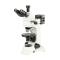 Varnishing BM-62XC Transmission reflection Polarizing Microscope