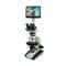 Varnishing BM-59XCP Tablet Polarizing Microscope