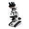 Varnishing BM-59XC Trinocular Polarizing Microscope Trinocular Microscope