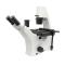 Varnishing BM-37XE Inverted Microscope Optical inspection system